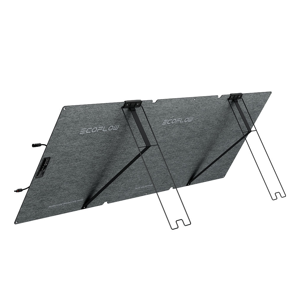 Panel Solar Portátil EcoFlow NexGen160W