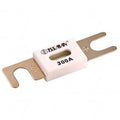 ANL-fuse 300A/80V